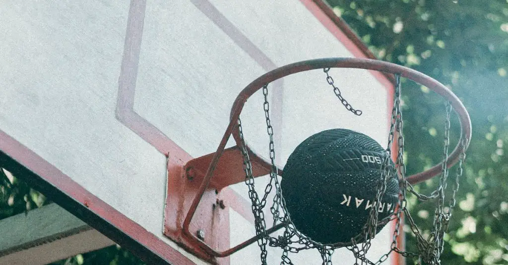 Best Basketball Courts in Auckland: Top 20!