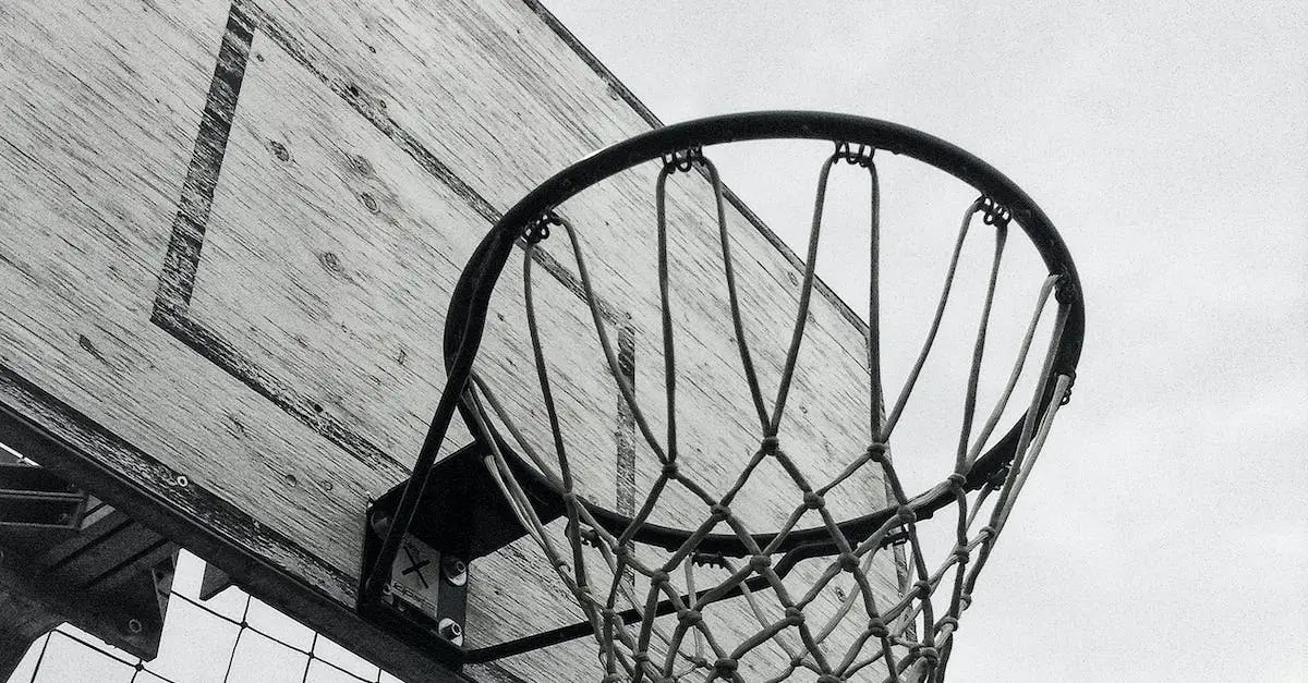 Carroll Park Basketball Courts