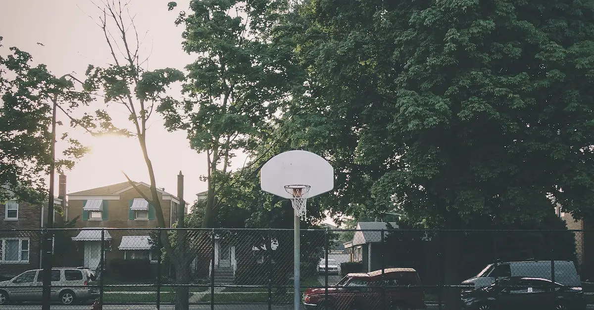Kings Forest Basketball Court