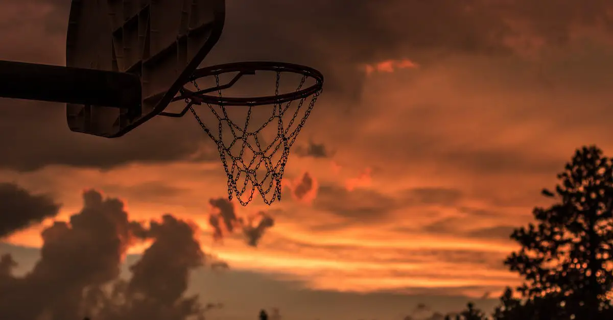 Ladmo Park-basketball court