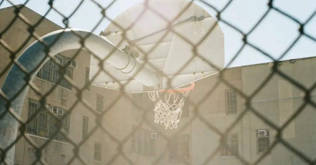 Best Basketball Court