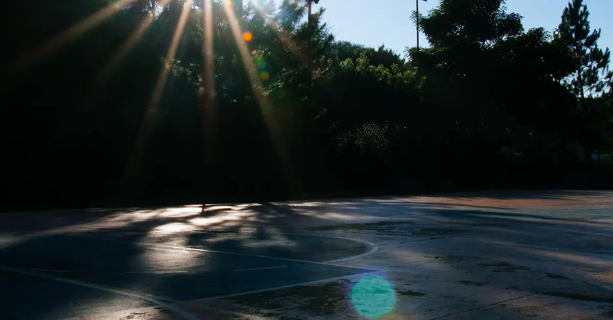 Basketbal court Modjeska