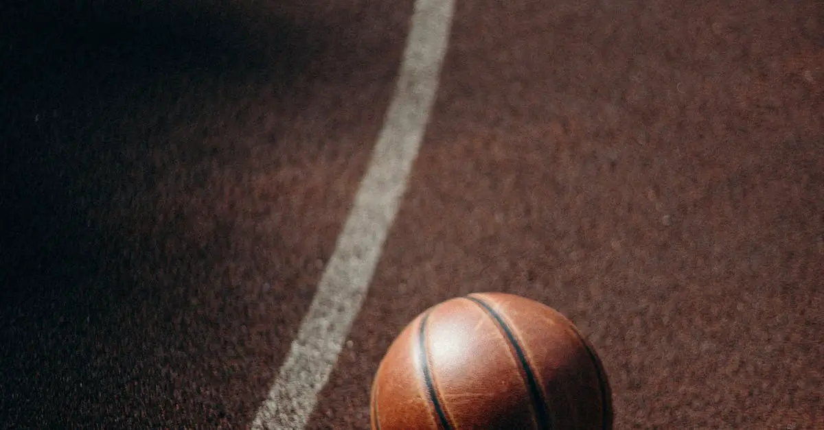 Basketbal court Modjeska