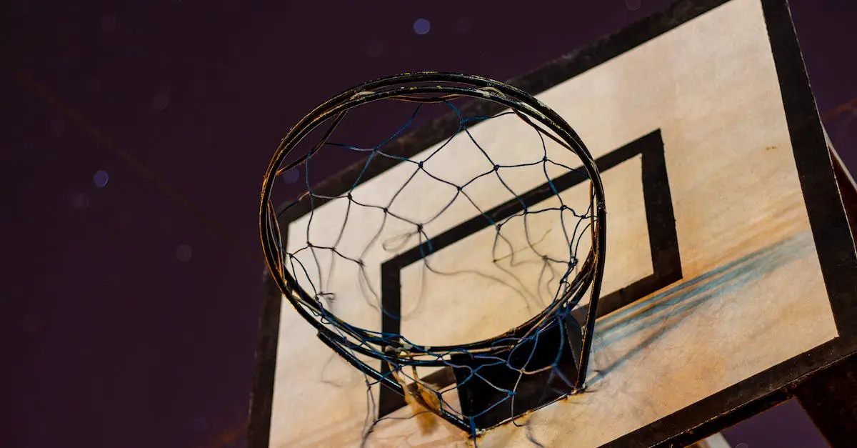 Mohican Park Basketball Court