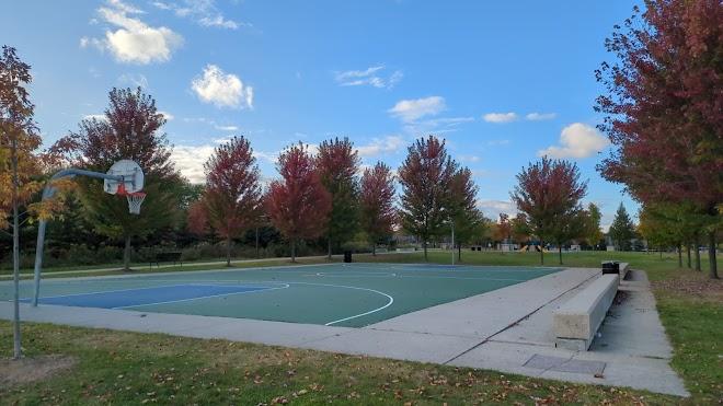 Public Basketball Court